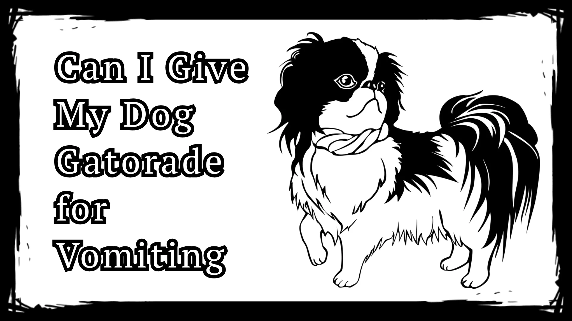 Can I Give My Dog Gatorade for Vomiting - Amazing Facts 2025