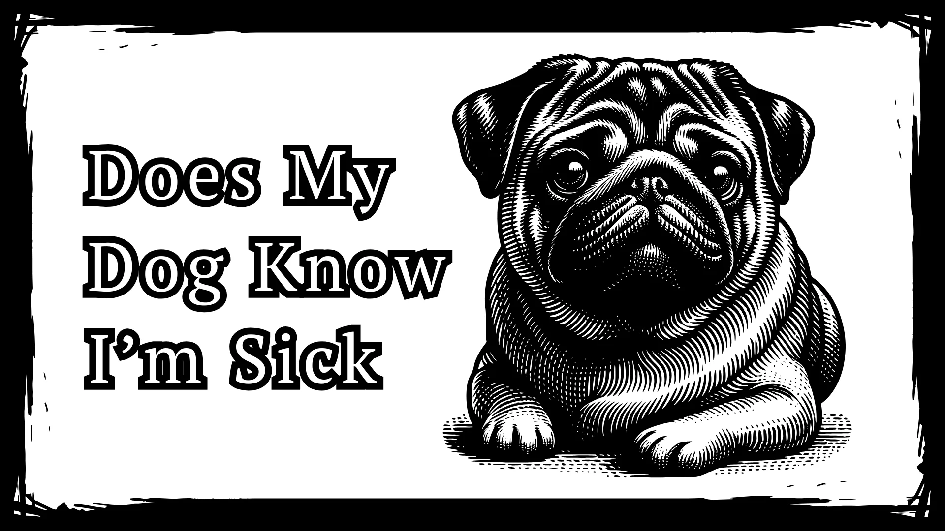 Does My Dog Know I’m Sick - Top 7 Signs Your Dog Loves You