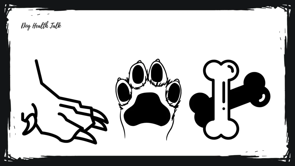 How Can I Get My Dog To Stop Chewing His Nails