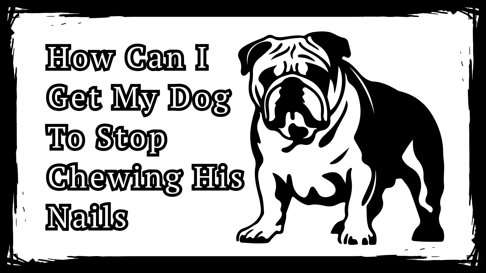 How Can I Get My Dog To Stop Chewing His Nails - 3 Imp Tips