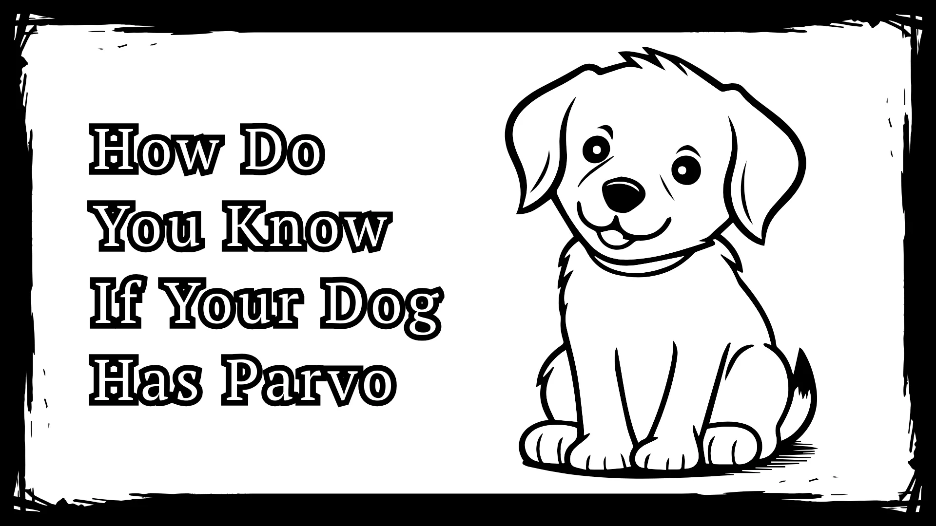 How Do You Know If Your Dog Has Parvo 5 Early Warning Signs