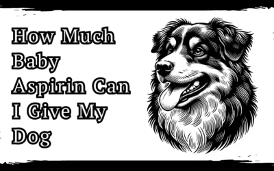 How Much Baby Aspirin Can I Give My Dog – Full Guide In 2025