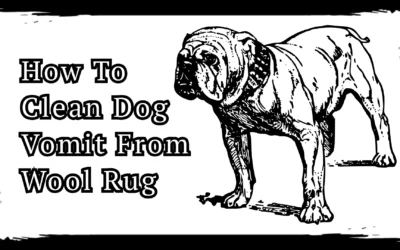 How To Clean Dog Vomit From Wool Rug – 3 Gentle Rescue Steps