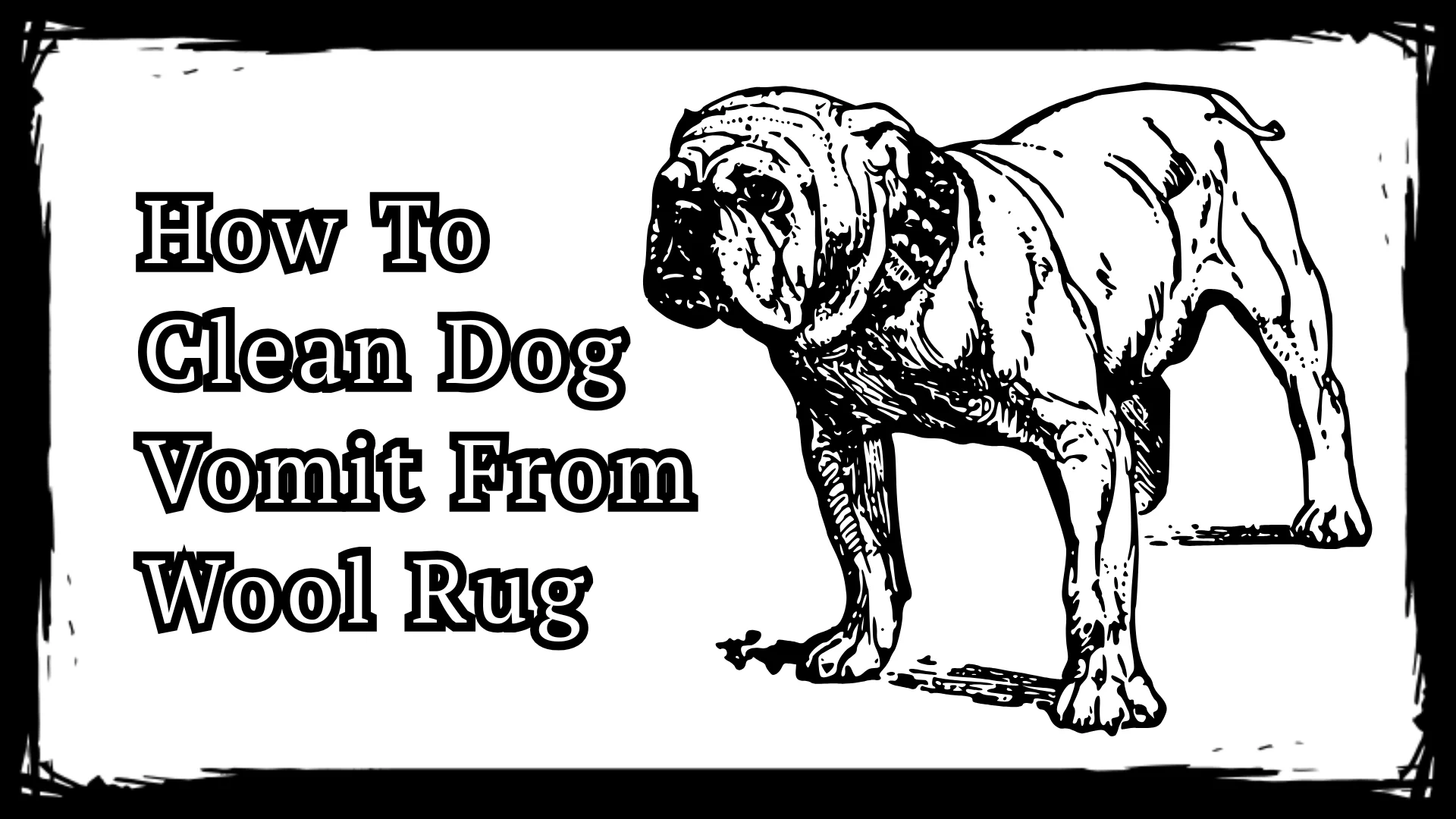 How To Clean Dog Vomit From Wool Rug - 3 Gentle Rescue Steps