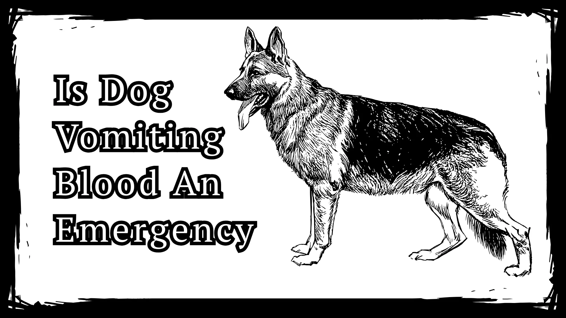 Is Dog Vomiting Blood An Emergency - 7 Warning Signs In 2025