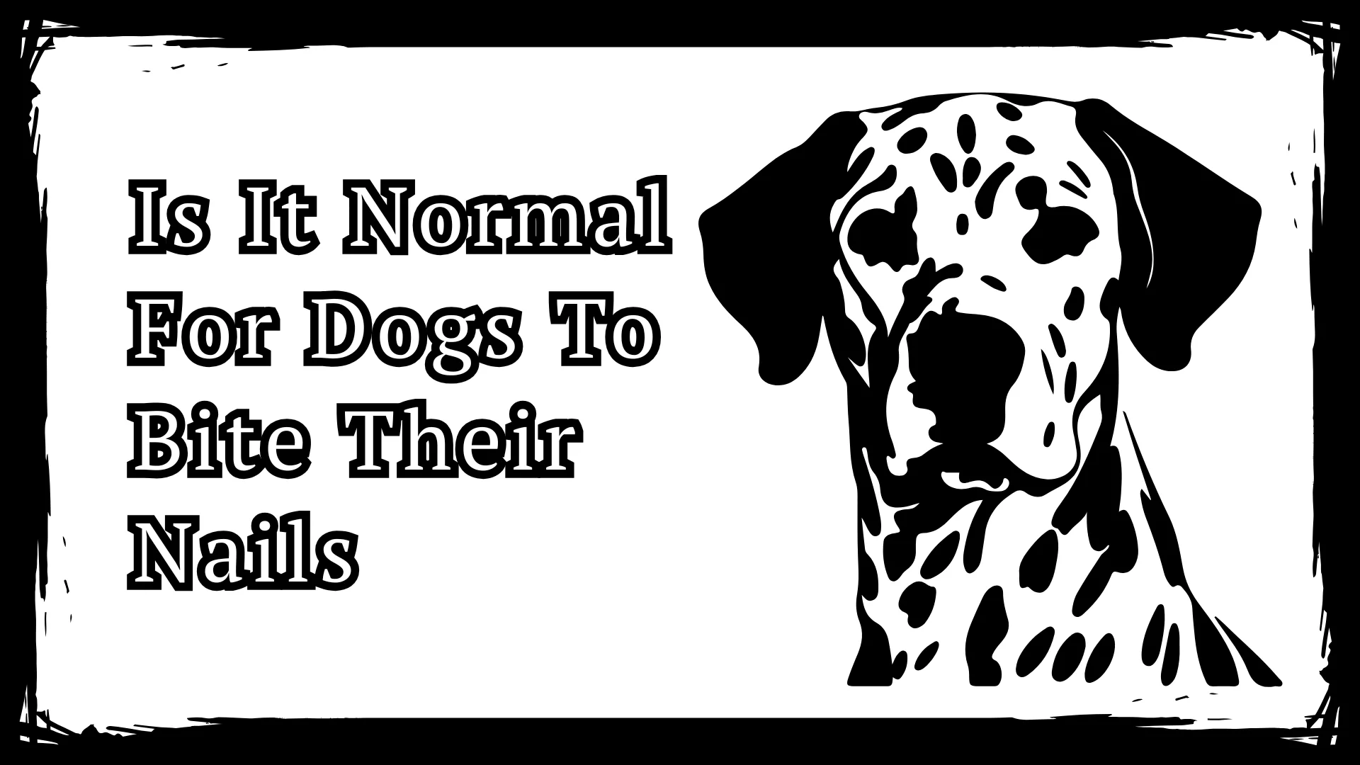Is It Normal For Dogs To Bite Their Nails - 10 Hidden Causes
