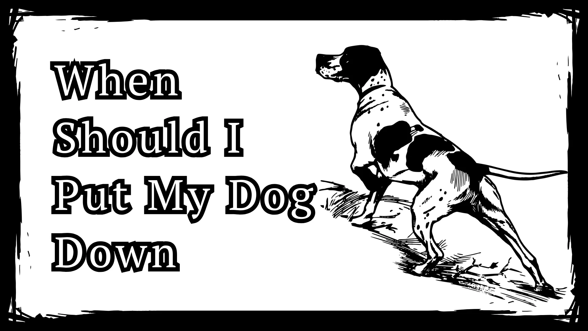 When Should I Put My Dog Down - 24 Signs It’s Time to Let Go