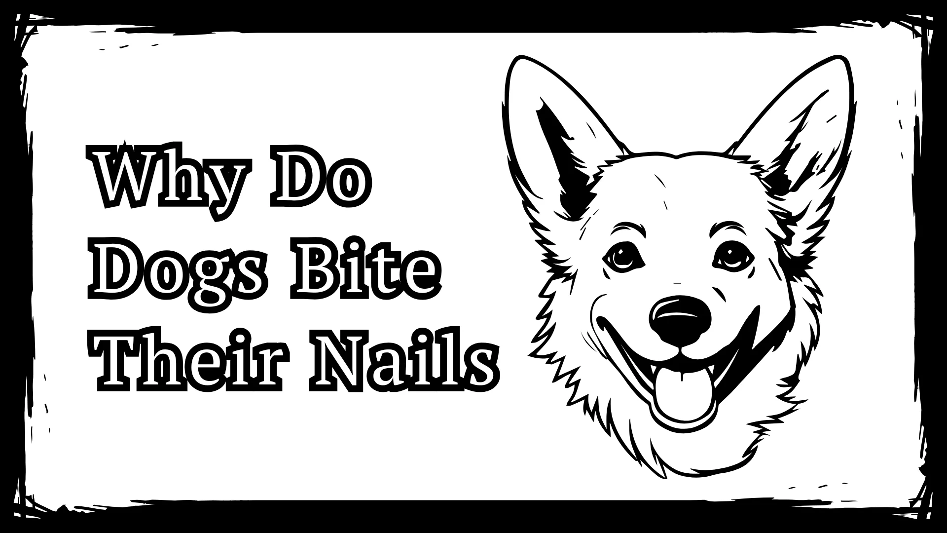Why Do Dogs Bite Their Nails - 3 Proven Tips To Stop Biting