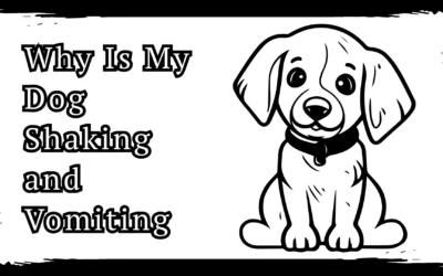 Why Is My Dog Shaking and Vomiting – 6 Essential Reasons