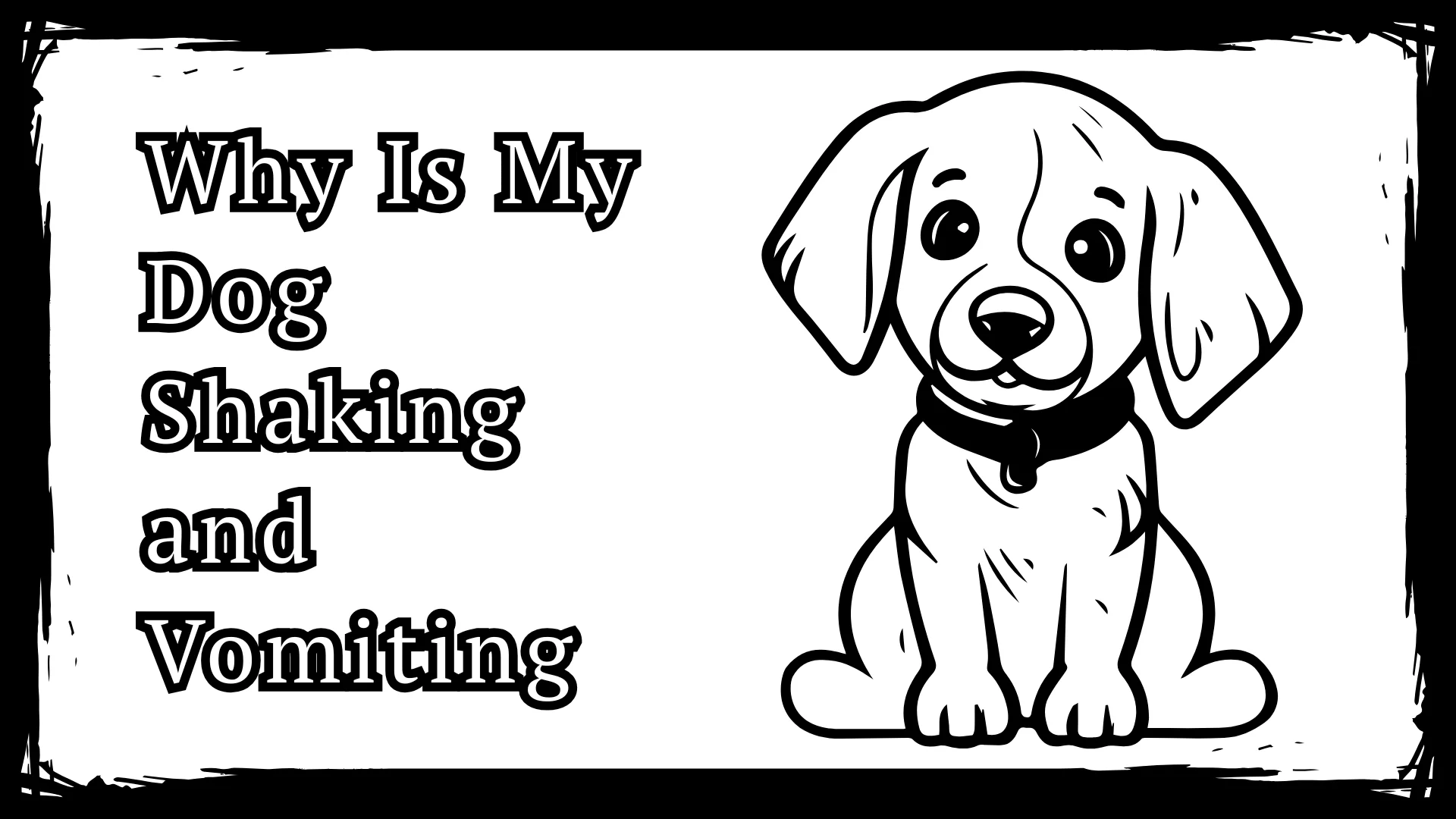 Why Is My Dog Shaking and Vomiting - 6 Essential Reasons