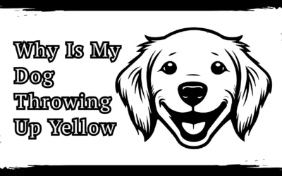 Why Is My Dog Throwing Up Yellow – 6 Warning Signs In 2025