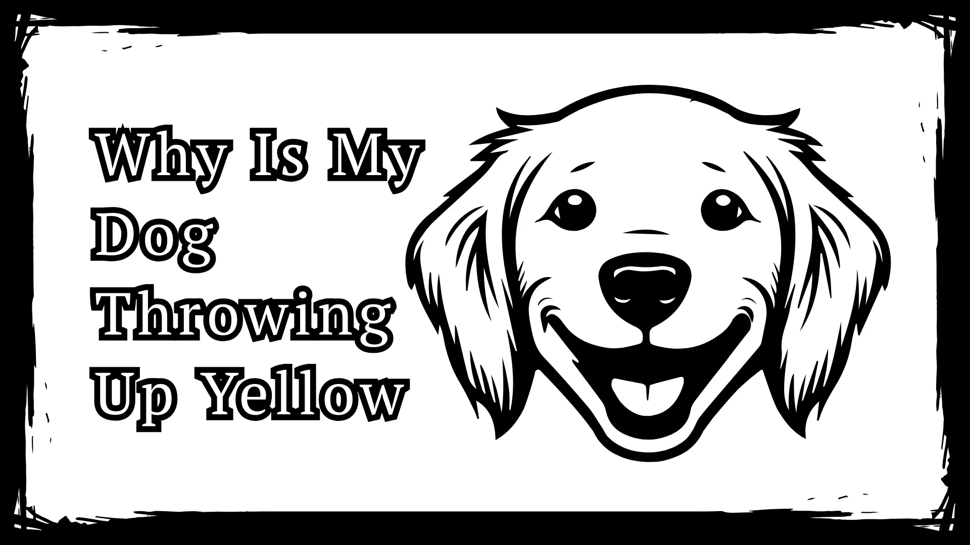 Why Is My Dog Throwing Up Yellow - 6 Warning Signs In 2025