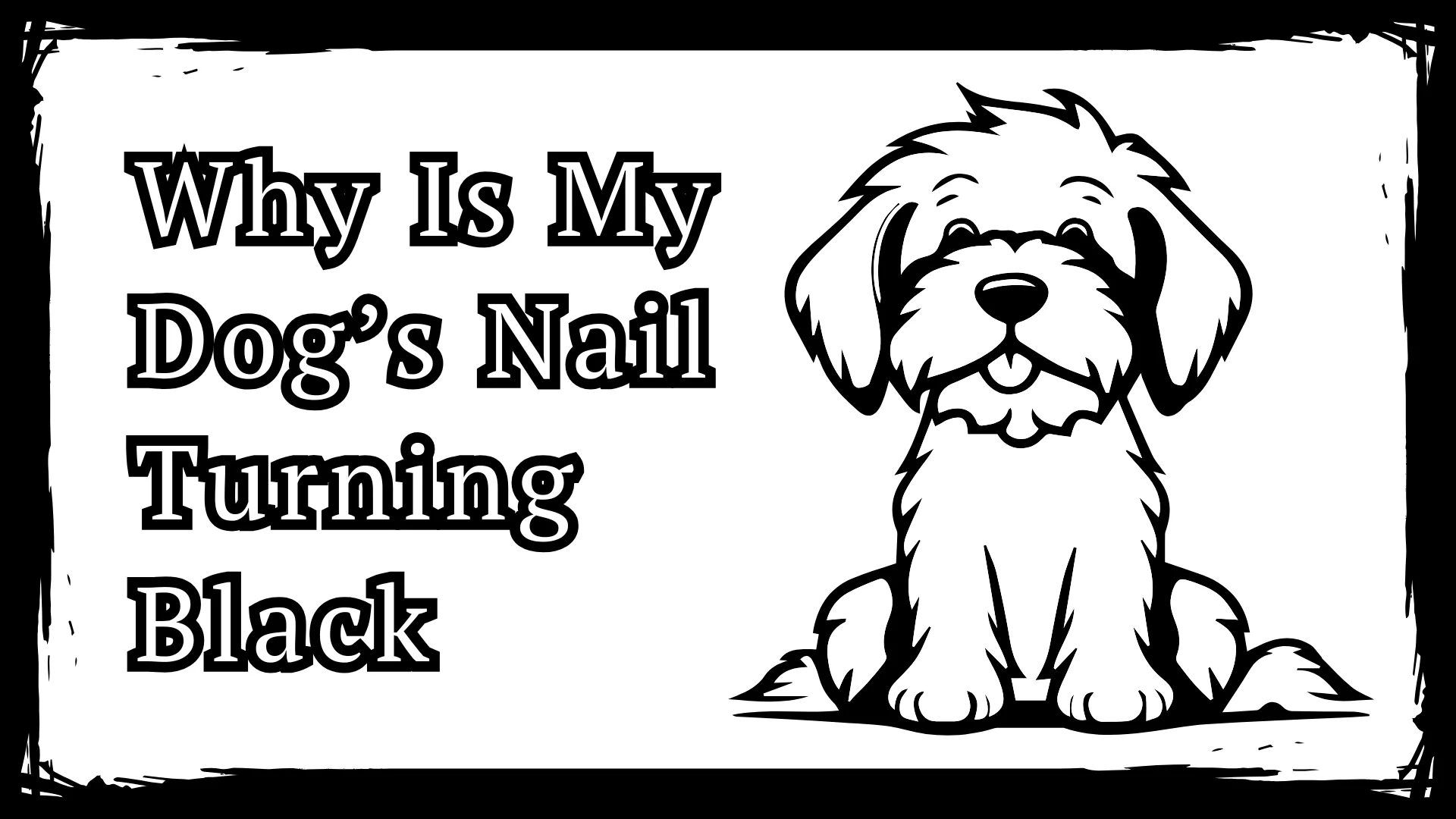 Why Is My Dog’s Nail Turning Black - 5 Shocking Reasons
