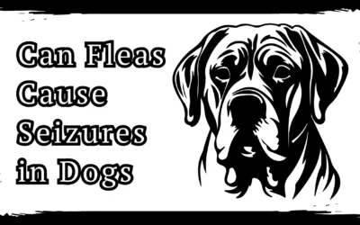 Can Fleas Cause Seizures in Dogs? 3 Shocking Truth Revealed