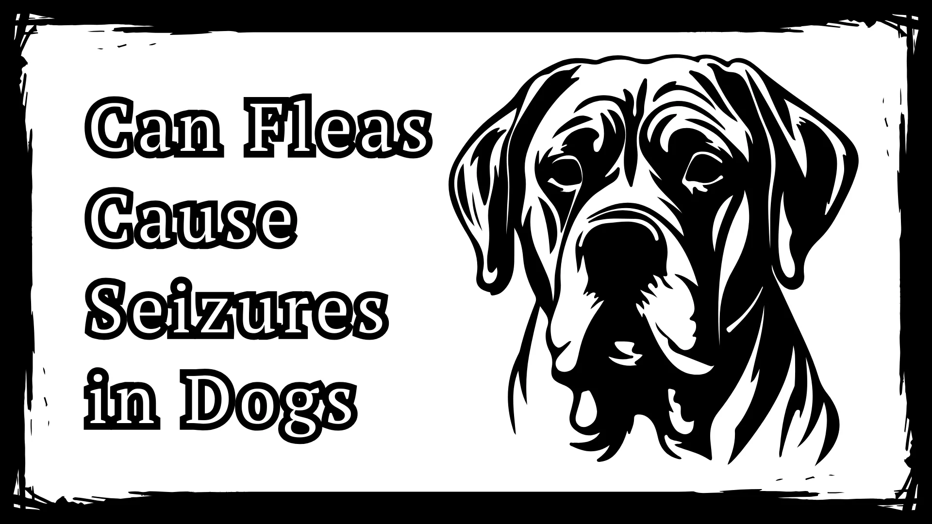 Can Fleas Cause Seizures in Dogs? 3 Shocking Truth Revealed