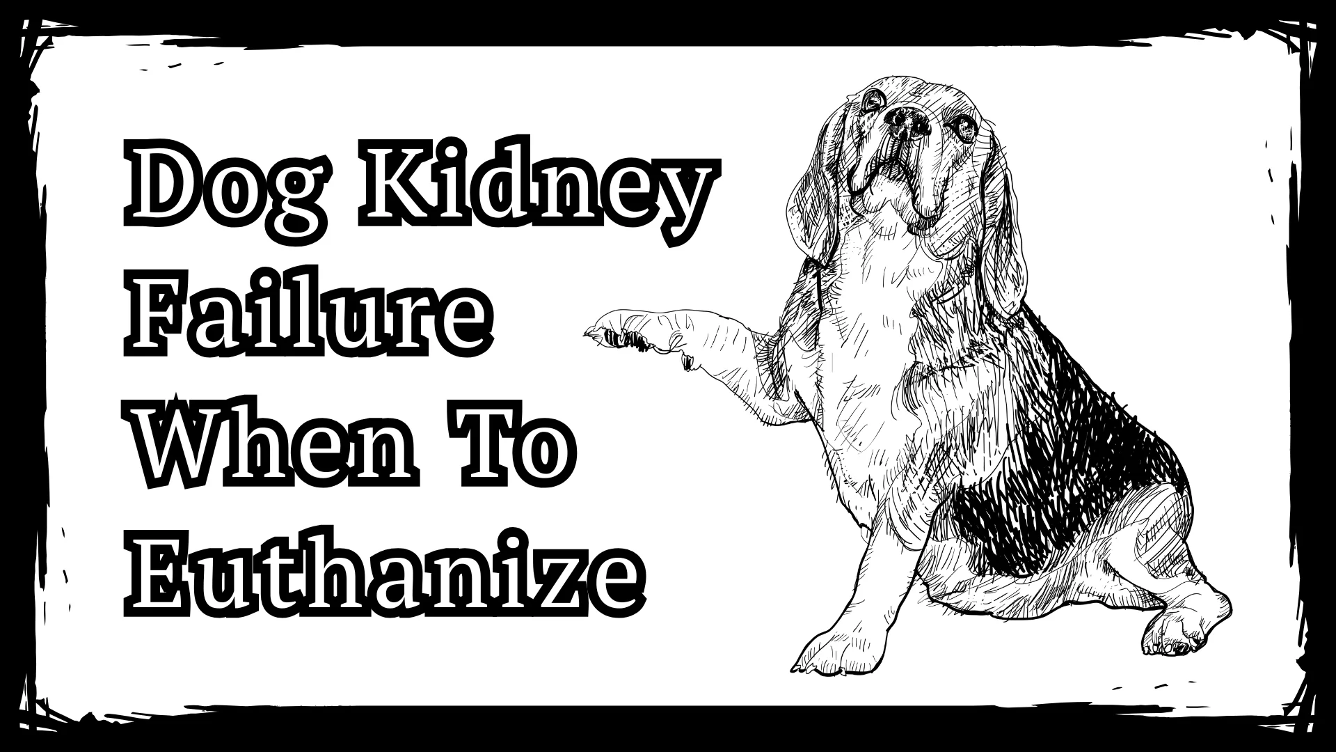 Dog Kidney Failure When To Euthanize - Say Goodbye In 2025