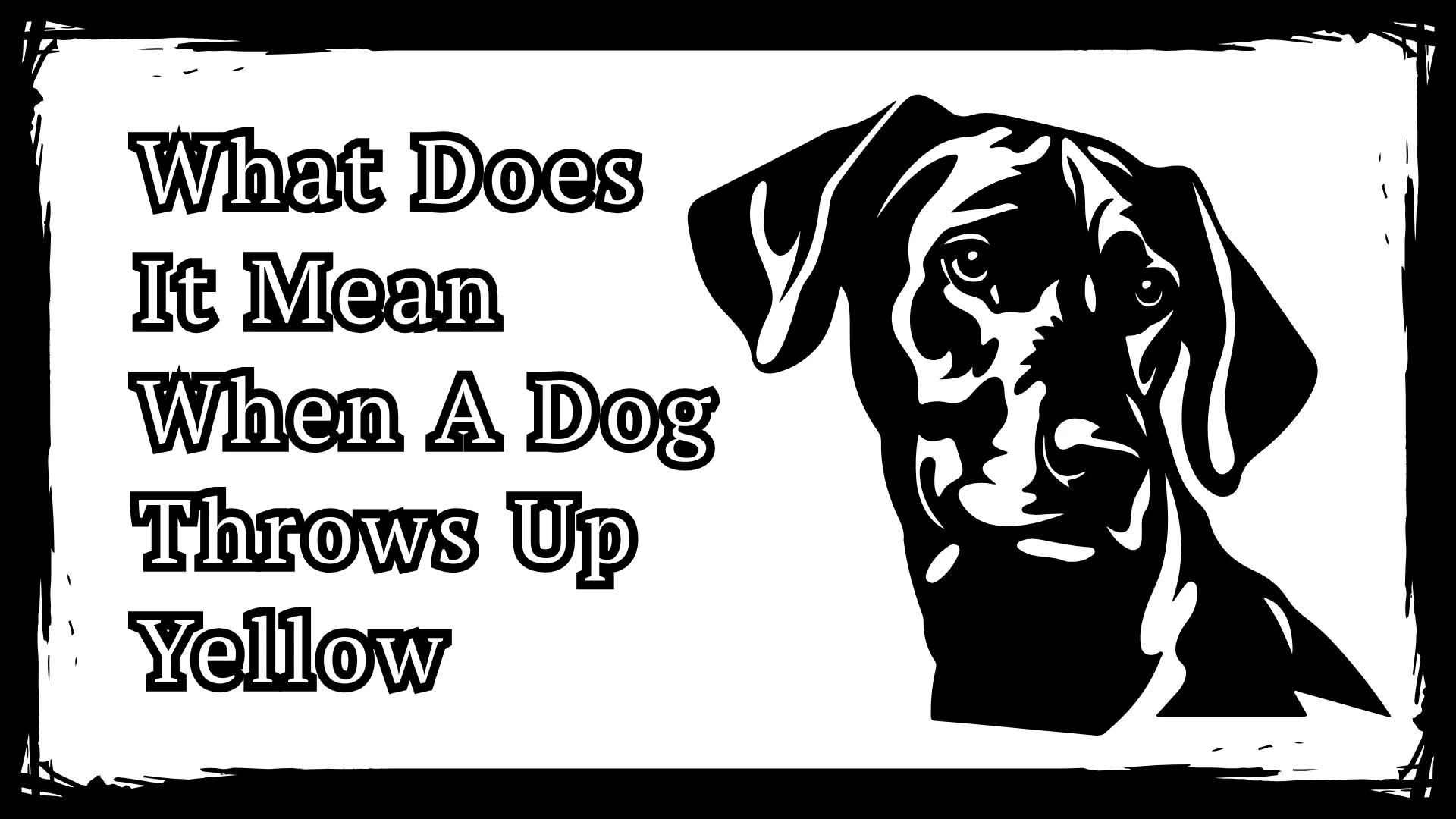What Does It Mean When A Dog Throws Up Yellow - 9 Key Reason